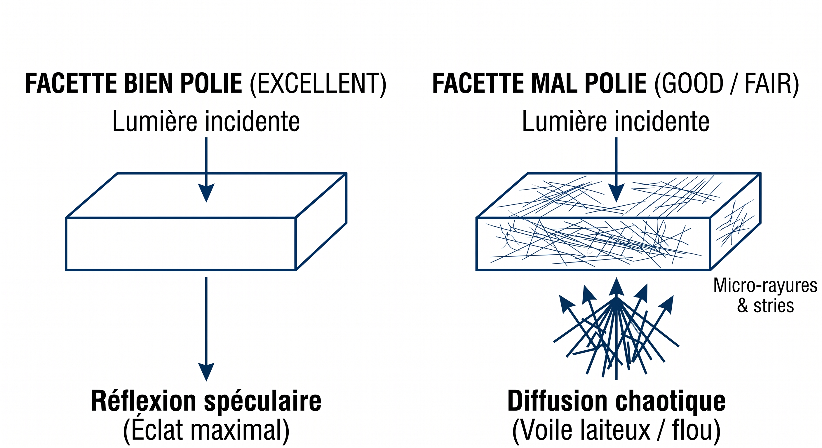 Le polissage